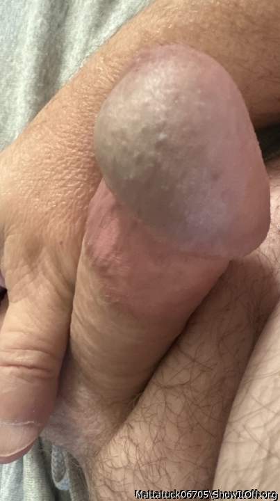 Photo of a cock from Mattatuck06705