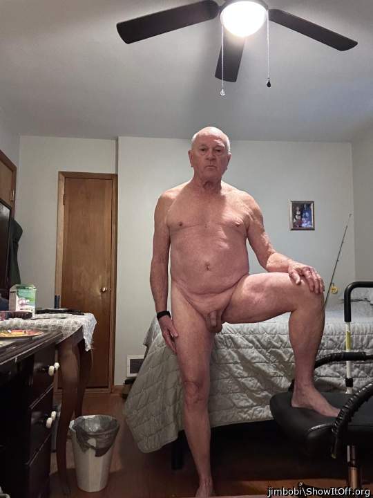 Photo of a cavalier from jimbobi