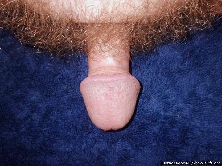 Photo of a stiffie from Justadragon40