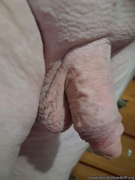 Photo of a lizard from lovedickmilk