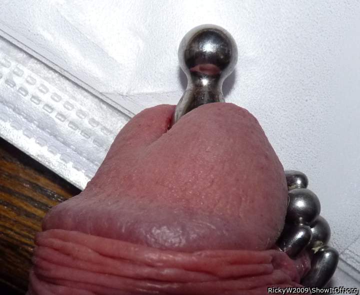 Wonderful plugged and pierced cock!      
