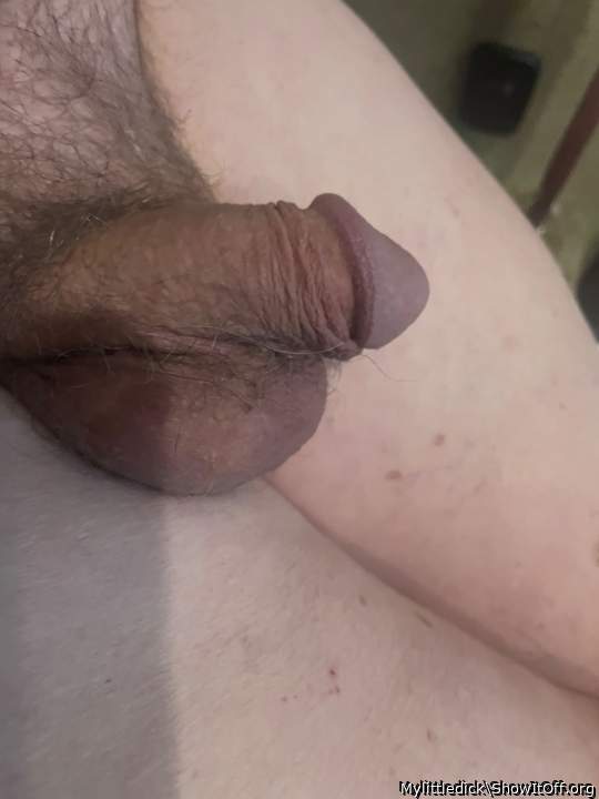 Photo of a pocket rocket from Mylittledick