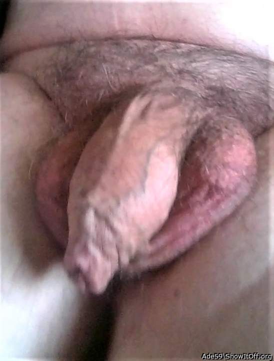 Photo of a snake from Ade59