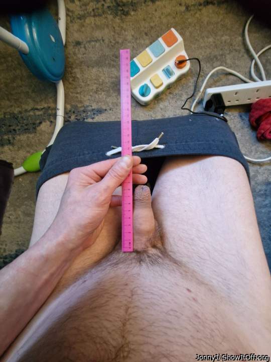 Photo of a cavalier from Jonny1