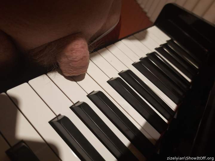 gay cock pianists