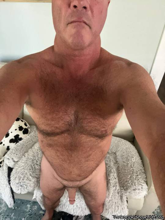 Photo of a rooster from Thickprick