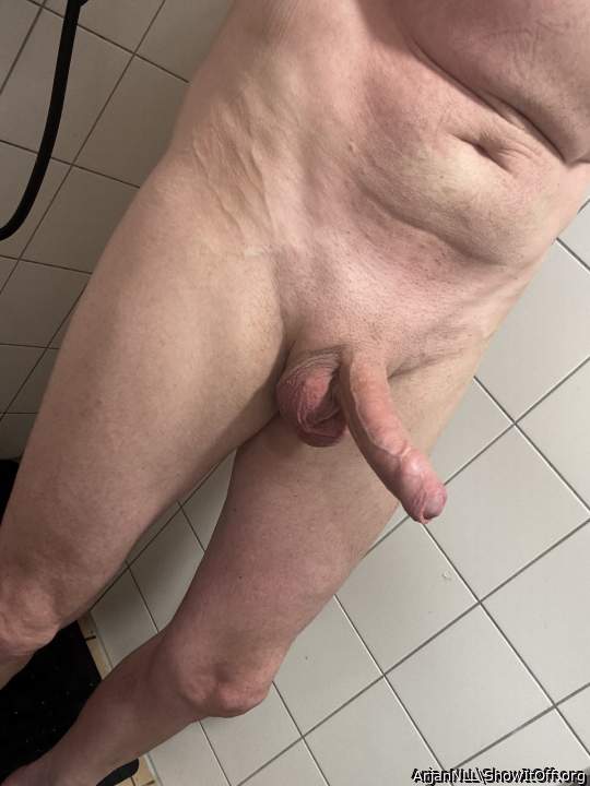 Photo of a middle leg from ArjanNLL