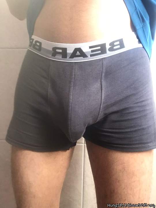 Photo of a middle leg from Hung1813
