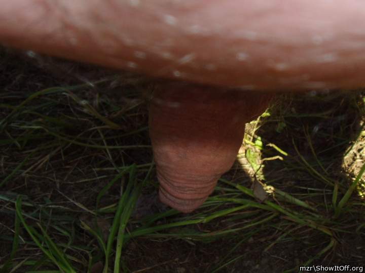 Photo of a private part from mzr