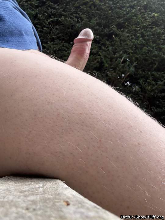 Photo of a middle leg from Fatc0c