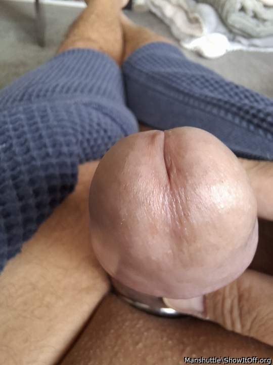 Photo of a horn from Manshuttle