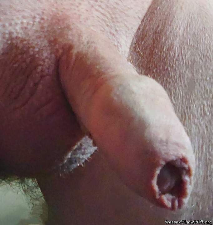 Photo of a equipment from Wessex