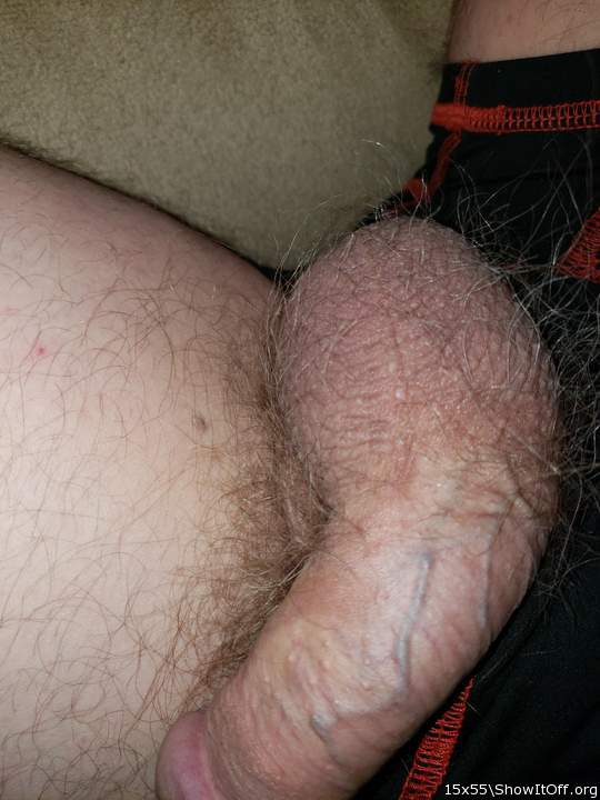 Photo of a penis from 15x55