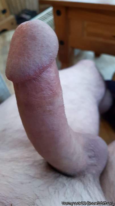 Nice cock to suck