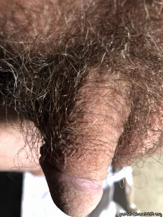 Hairy one