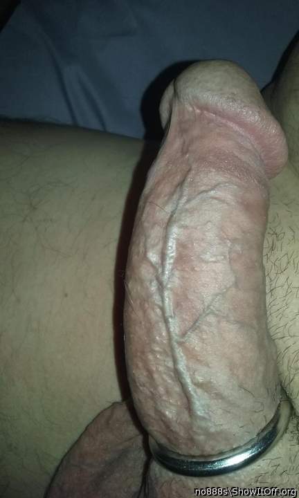 Great cock  Nice and thick ! Love that slight curve. Very ho
