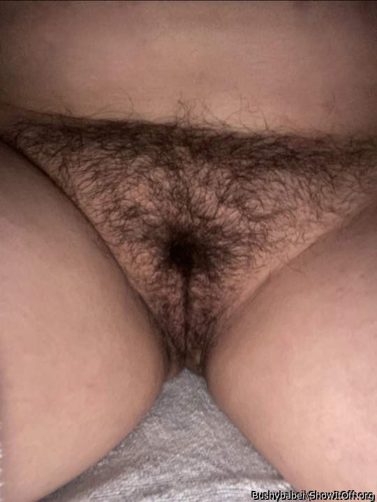 Great hairy pussy 