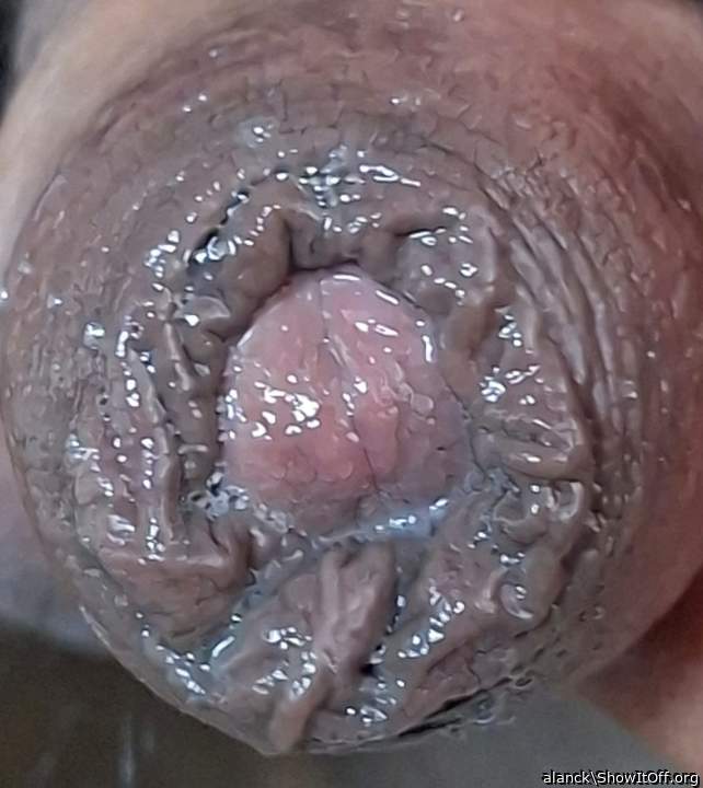 Photo of a horn from alanck