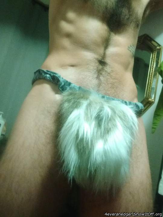 Want to pet my fur?
