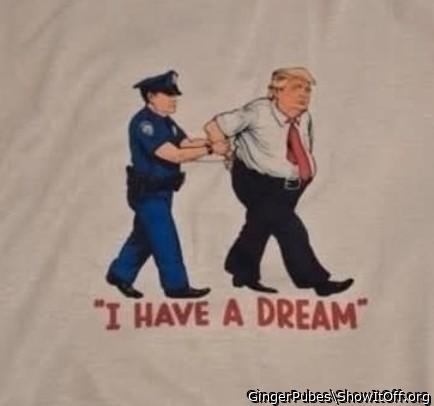 Photo of a dong from GingerPubes