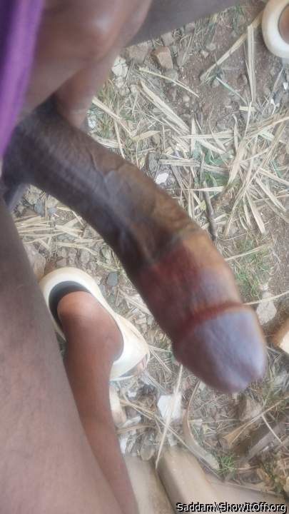 Fantastic boner!   