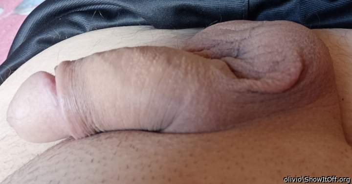 Photo of a bald-headed mouse from olivio