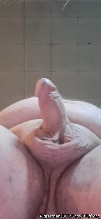 Photo of a member from Pigfarmer1880