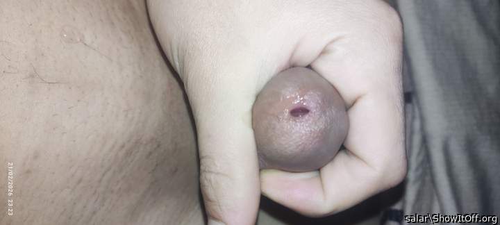 Photo of a cavalier from salar