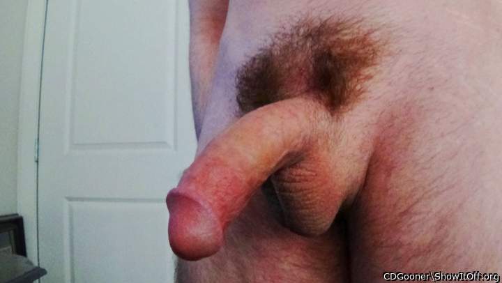 Photo of a schlong from CDGooner
