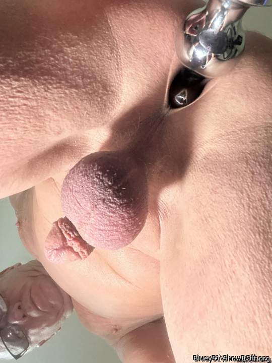 Photo of a cock from Bluey51
