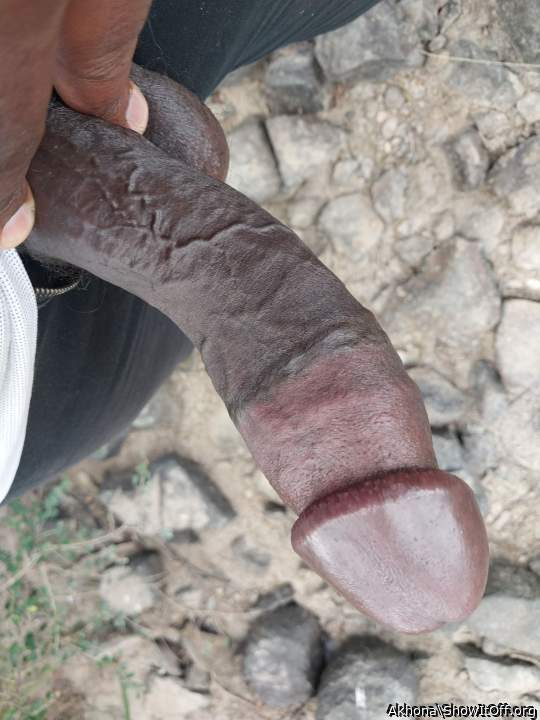 Lovely big cock.  