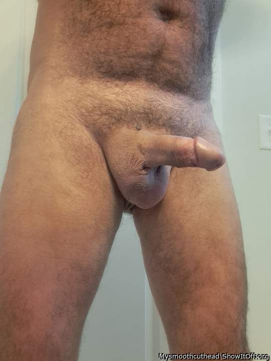 Photo of a middle leg from Mysmoothcuthead