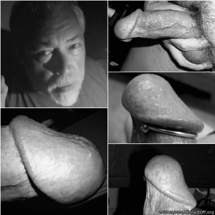 Photo of a snake from misterplump