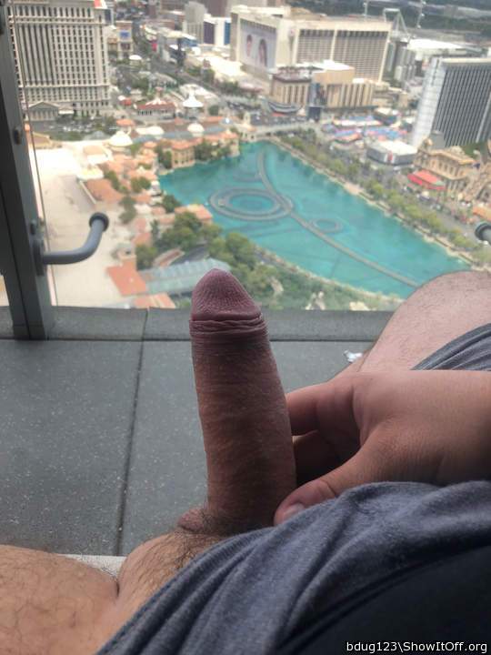 What A View