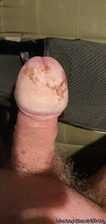 Photo of a bald-headed mouse from hiluxboy