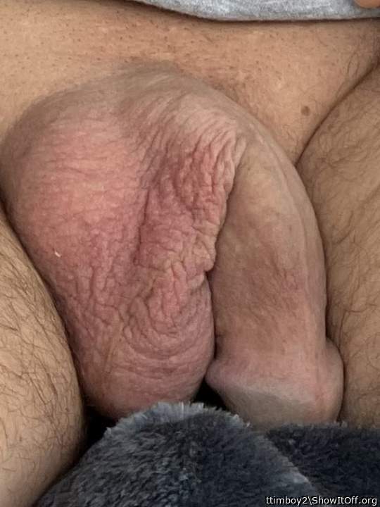 Photo of a weasel from ttimboy2