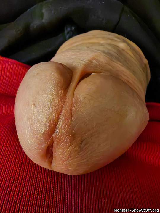 Photo of a python from Monster