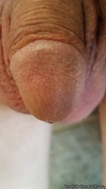 Beautiful penis with the foreskin removed. It makes my mouth