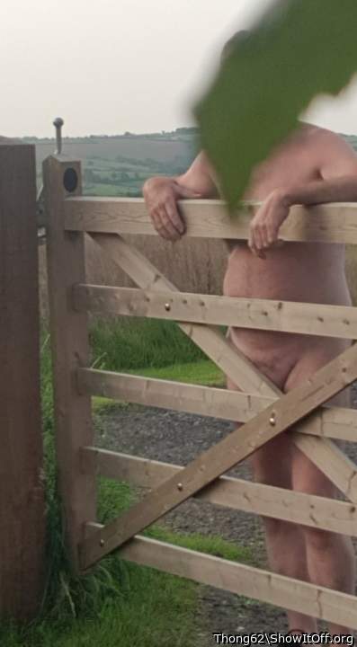Adult image from Thong62
