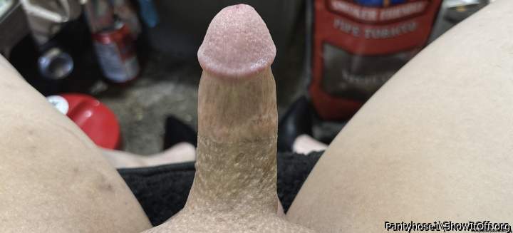 Photo of a bat from Pantyhose1