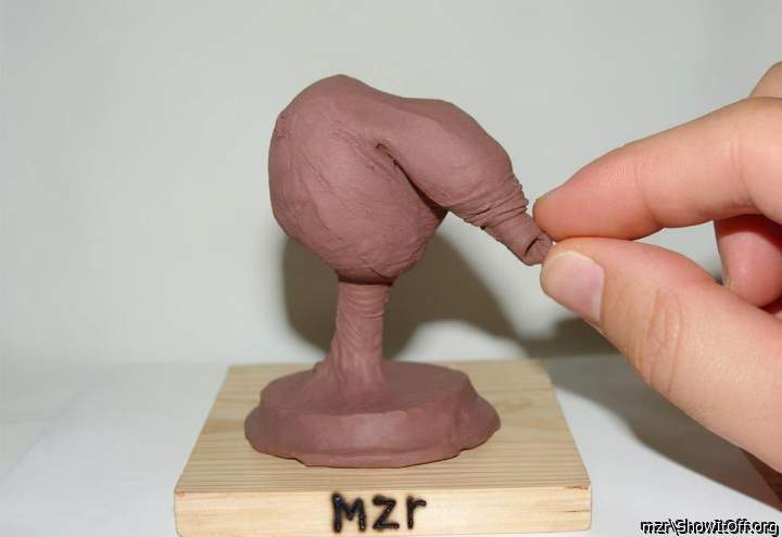 Photo of a rooster from mzr