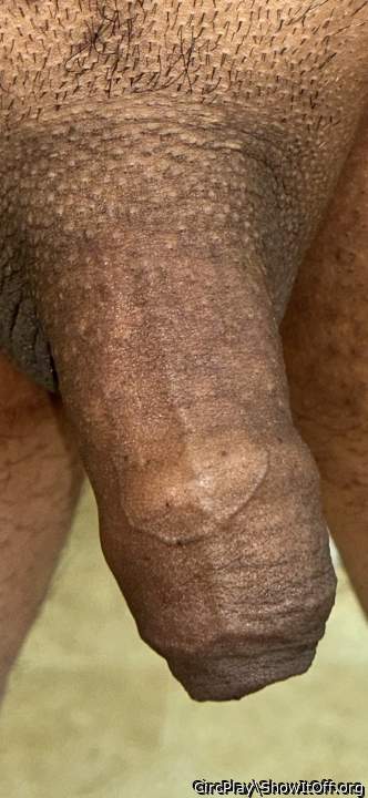 Photo of a horn from CircPlay