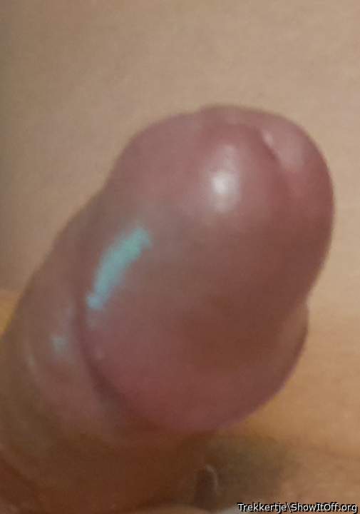 Photo of a dong from Trekkertje