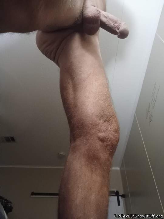 Photo of a cock from OldTex83