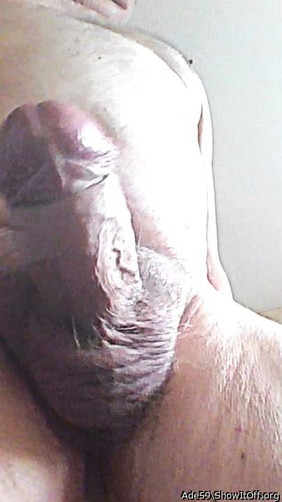 Photo of a python from Ade59