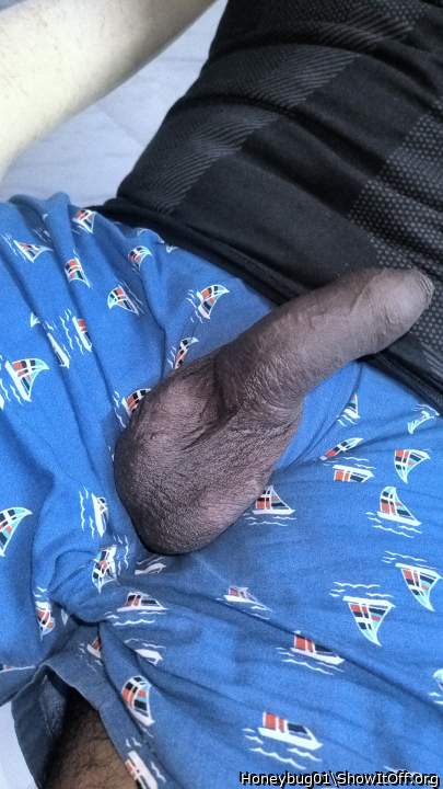 Photo of a python from Honeybug01