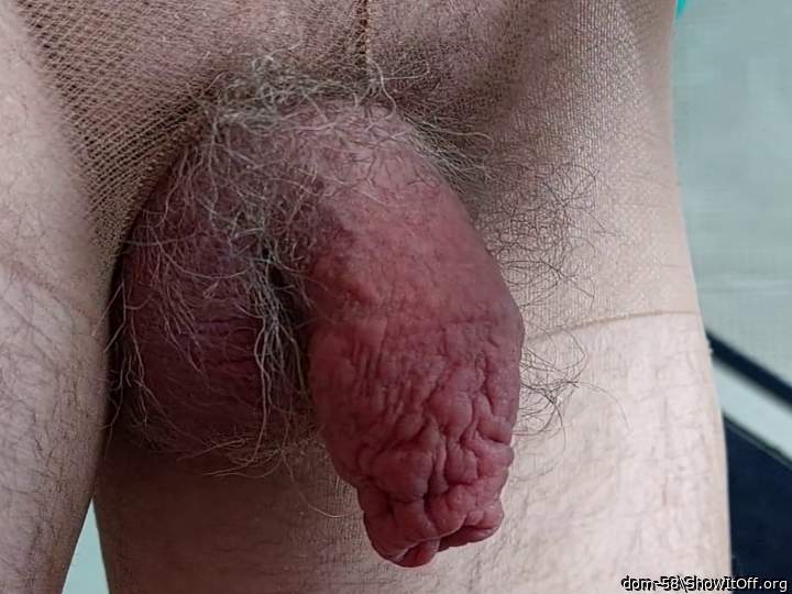 Photo of a cock from dom-58