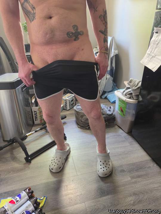 Photo of a middle leg from Hardguy38