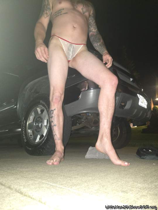 Photo of a bat from LittleMan20