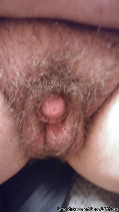 A great little cock 